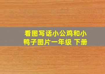 看图写话小公鸡和小鸭子图片一年级 下册